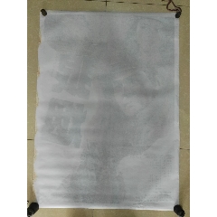 立教大学毕业证